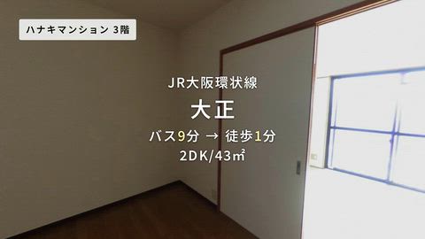 動画