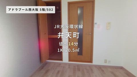 動画