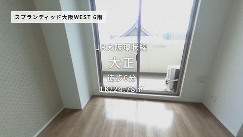 動画