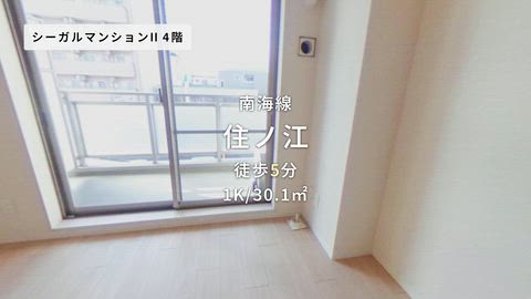 動画