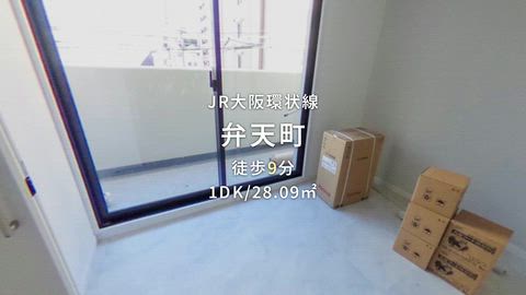 動画
