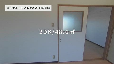 動画