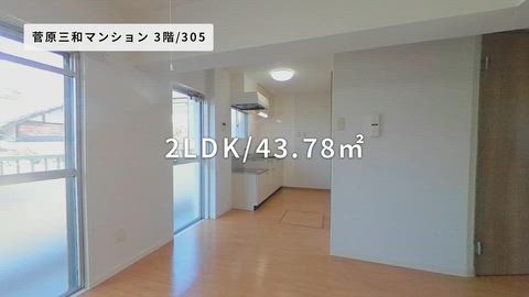 動画