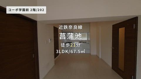 紹介ムービー