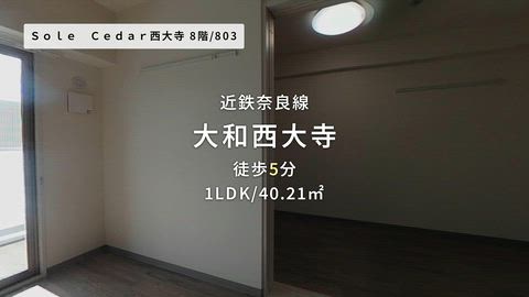 紹介ムービー