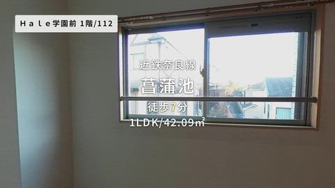 動画