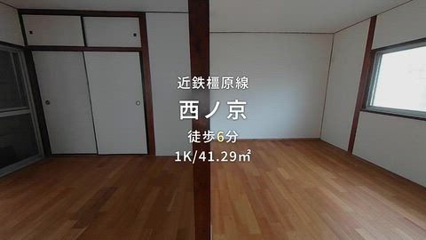 動画