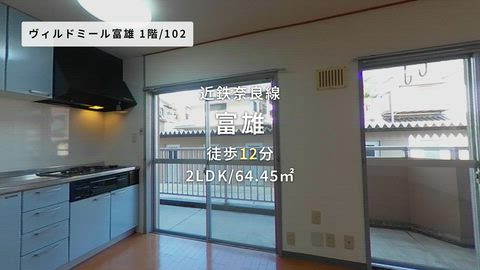 動画