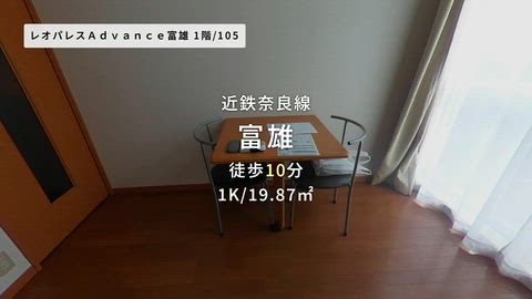 動画