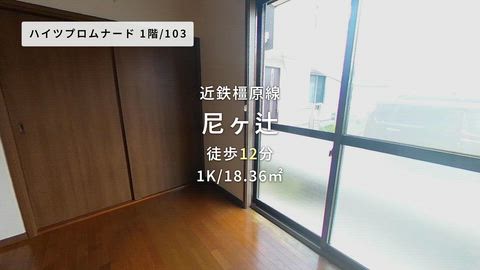 動画