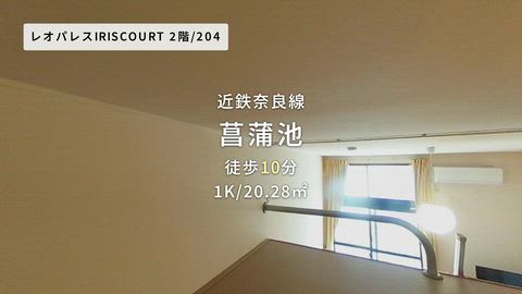 動画