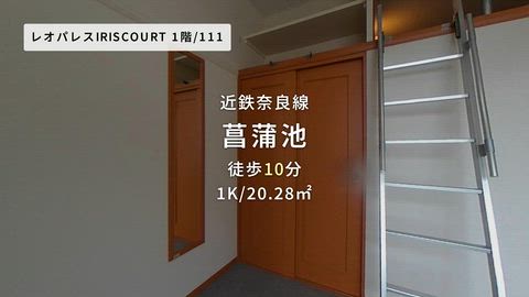 動画