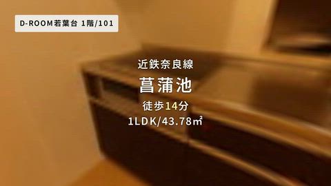 紹介ムービー
