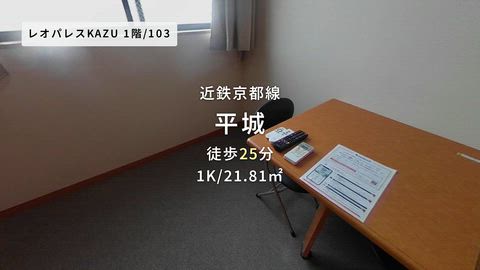 動画