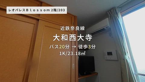 動画