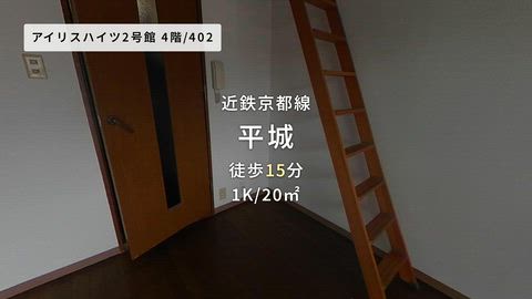 動画