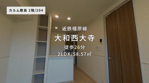 動画