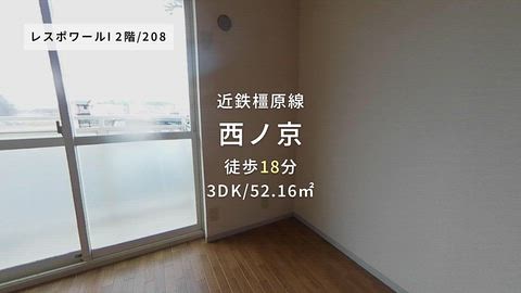 動画