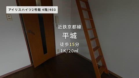 動画