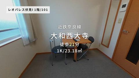動画