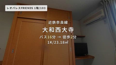 動画