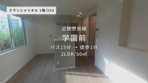 動画