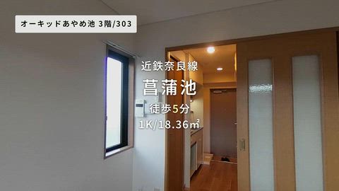 動画
