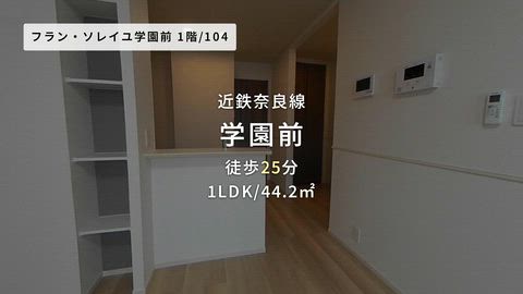 動画