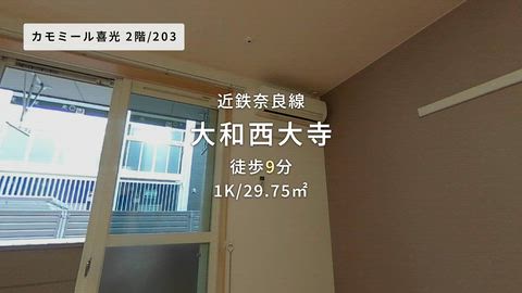 動画