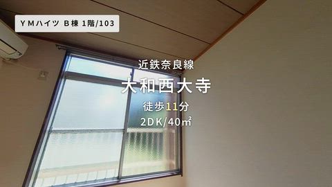 動画