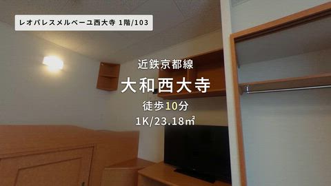 動画