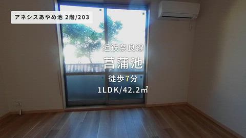 動画