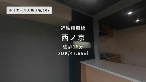 動画