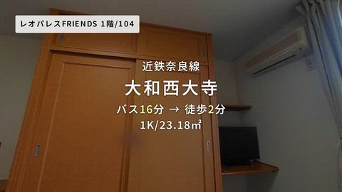 動画