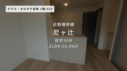 動画