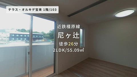 動画