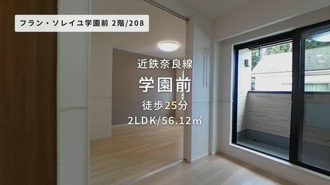 動画