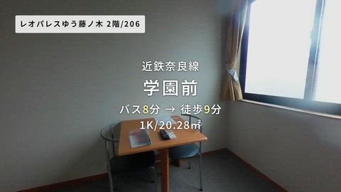 動画