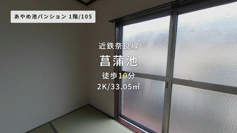 動画
