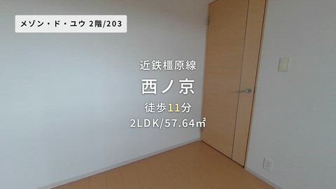 動画