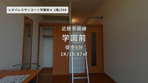 動画