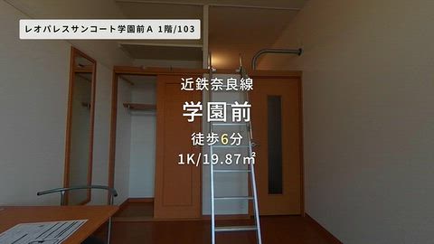 動画