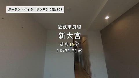 動画