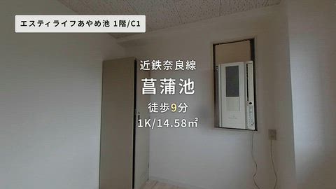 動画