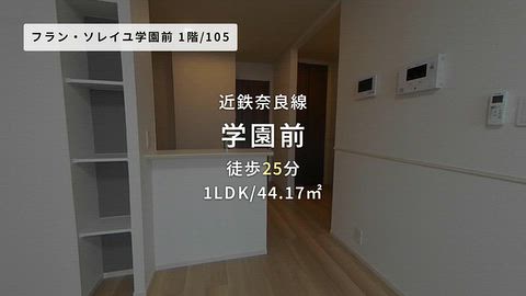 動画