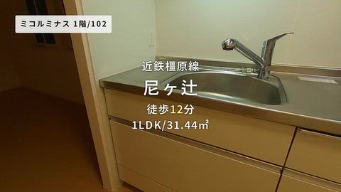 動画