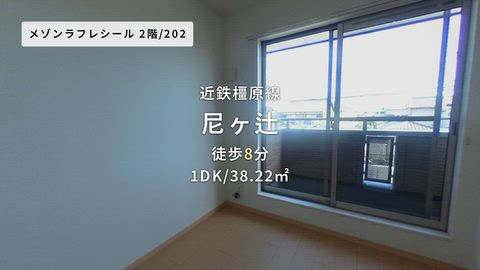 動画