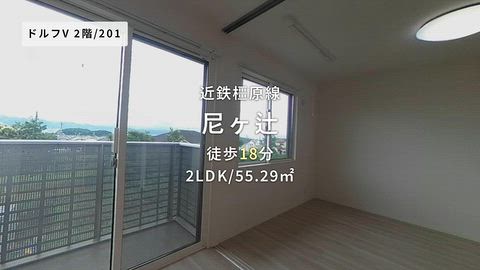 動画