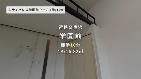 動画