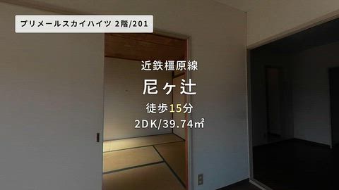動画